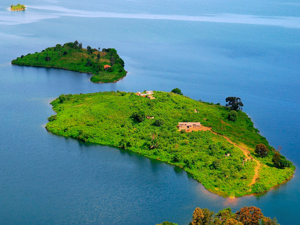 For relaxation, Luxury Travel Experiences in Rwanda include the tranquil shores of Lake Kivu, one of Africa’s most scenic and accessible lakes.
