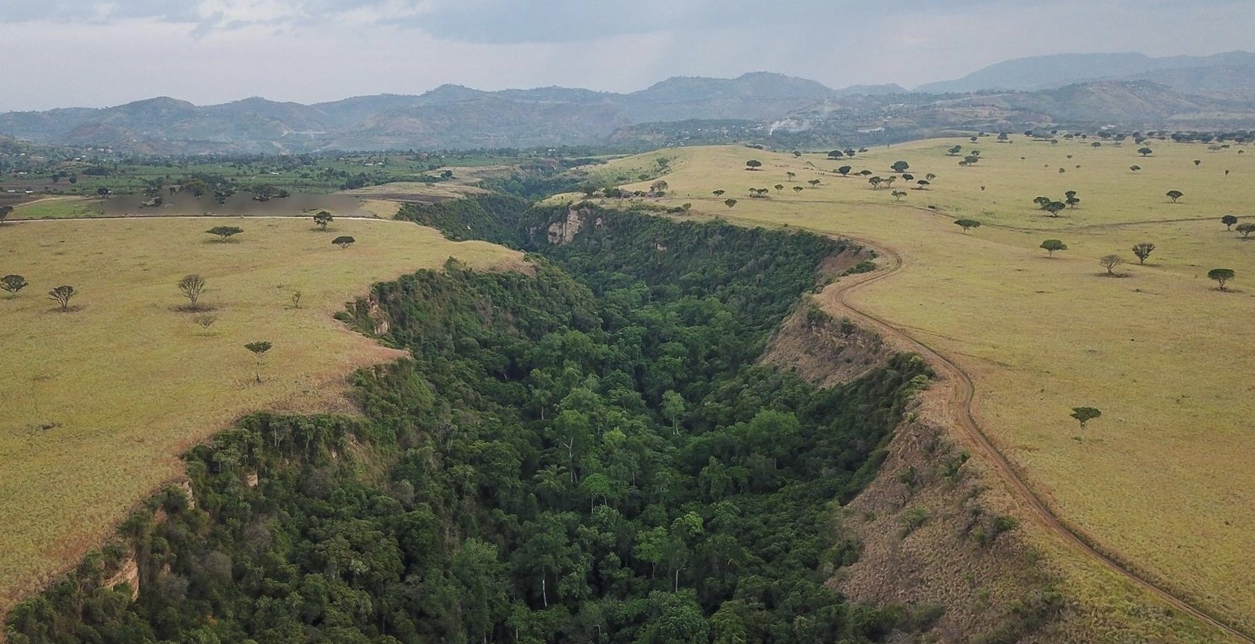 Why See Chimpanzees in Kyambura Gorge?
