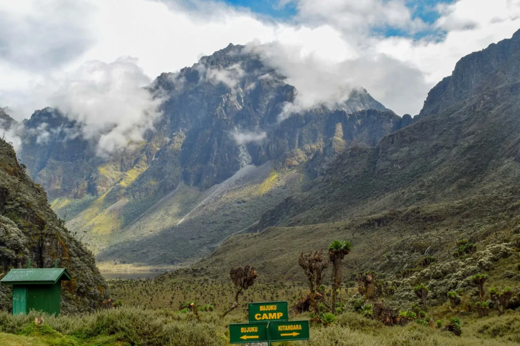 Ultimate Guide to Rwenzori Mountains National Park