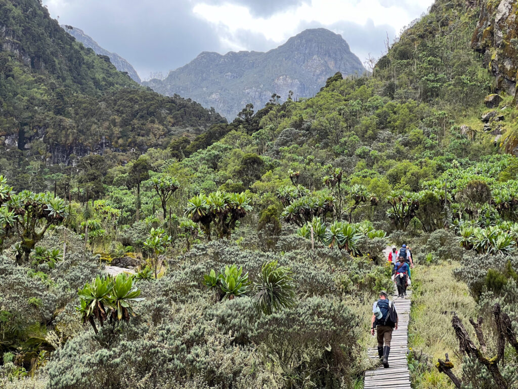 FAQs About Rwenzori Mountains National Park
