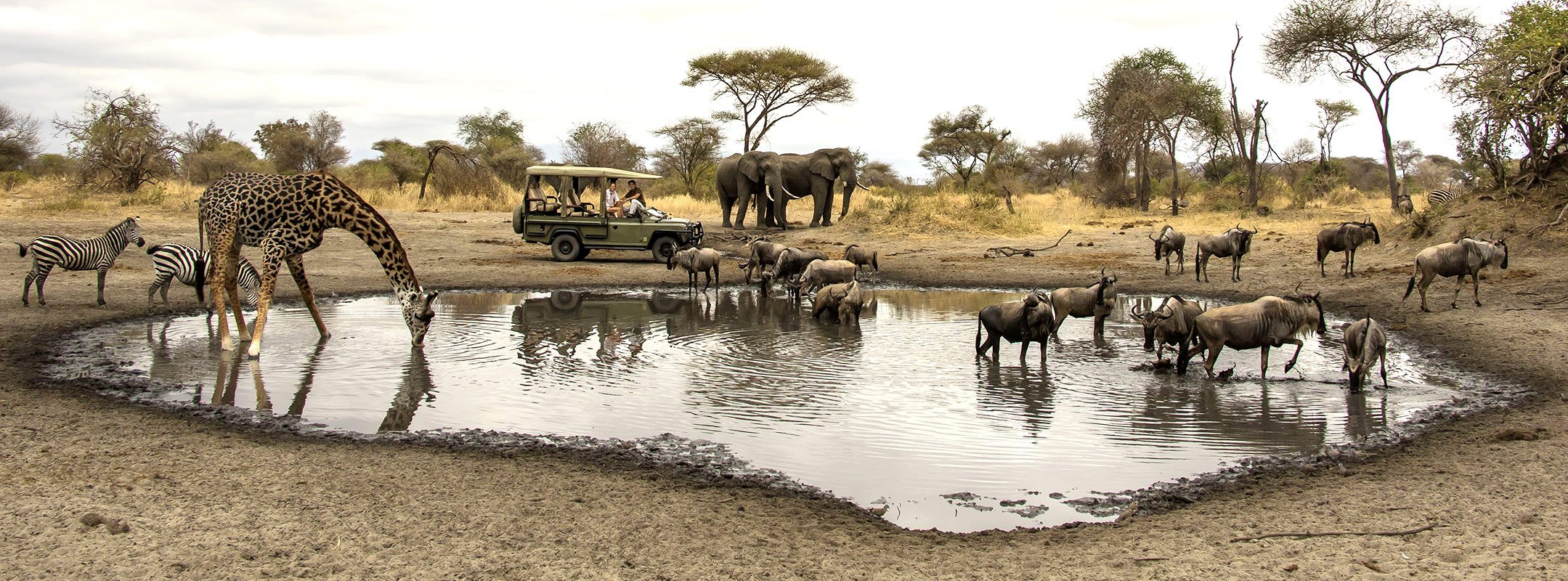 Cost is an important factor when planning a Tanzania vs Namibia Safari Experience, and the overall investment can vary significantly depending on travel style and expectations.
