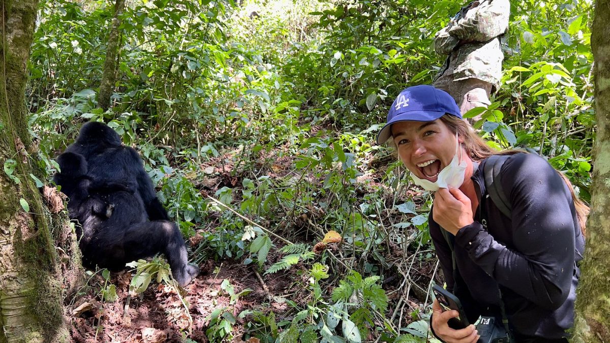 A tourist enjoying gorilla trekking safari in Uganda organised by Pieland Gorilla Safaris.