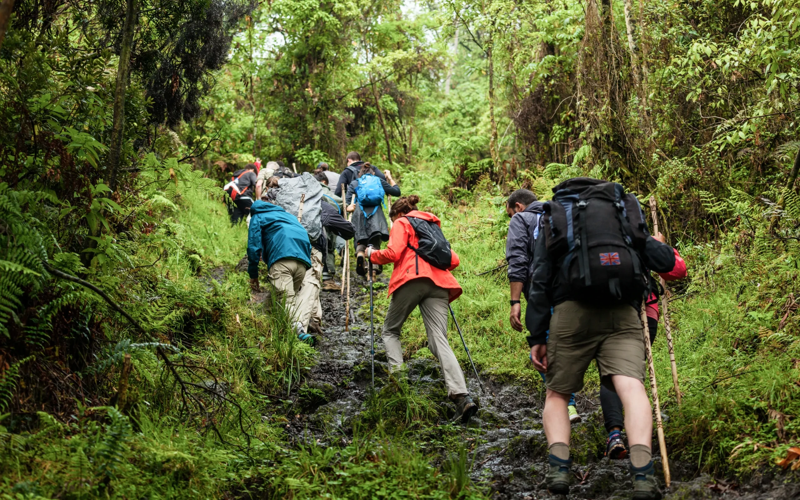 Cost plays a central role in deciding between Private Guides vs Shared Guides, and it is often one of the first considerations for travelers. 