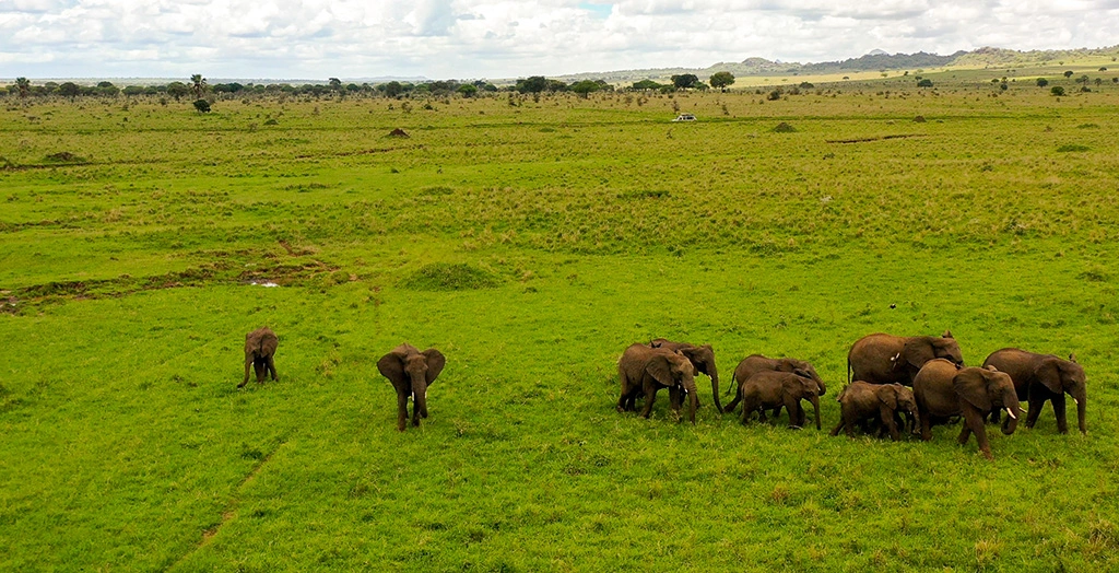 how-much-is-a-safari-to-uganda