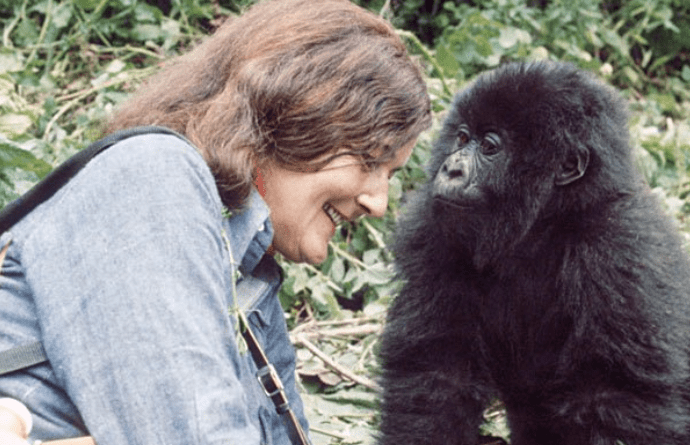 gorilla-trekking-in-mgahinga-starting-from-rwanda