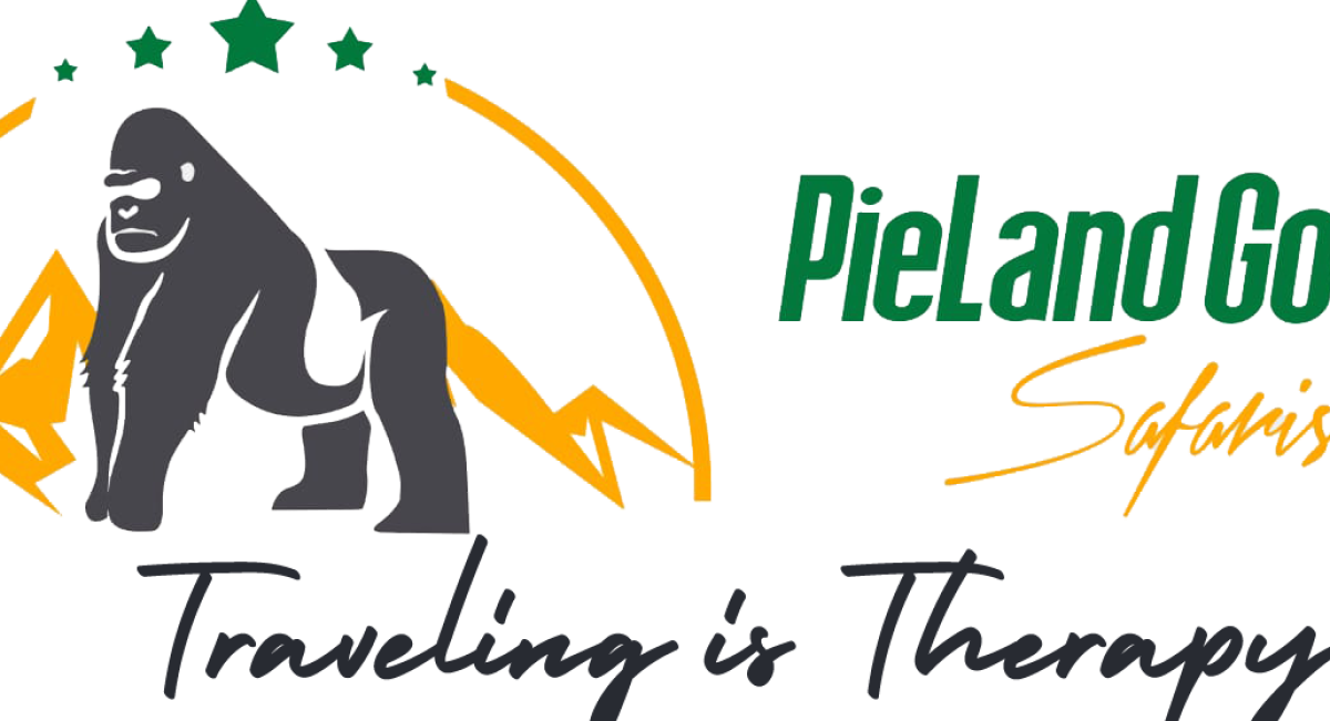 At Pieland Gorilla Safaris, we believe in showing you the complete story of the wild—not just the dramatic highlights, but also the real challenges animals face every day.