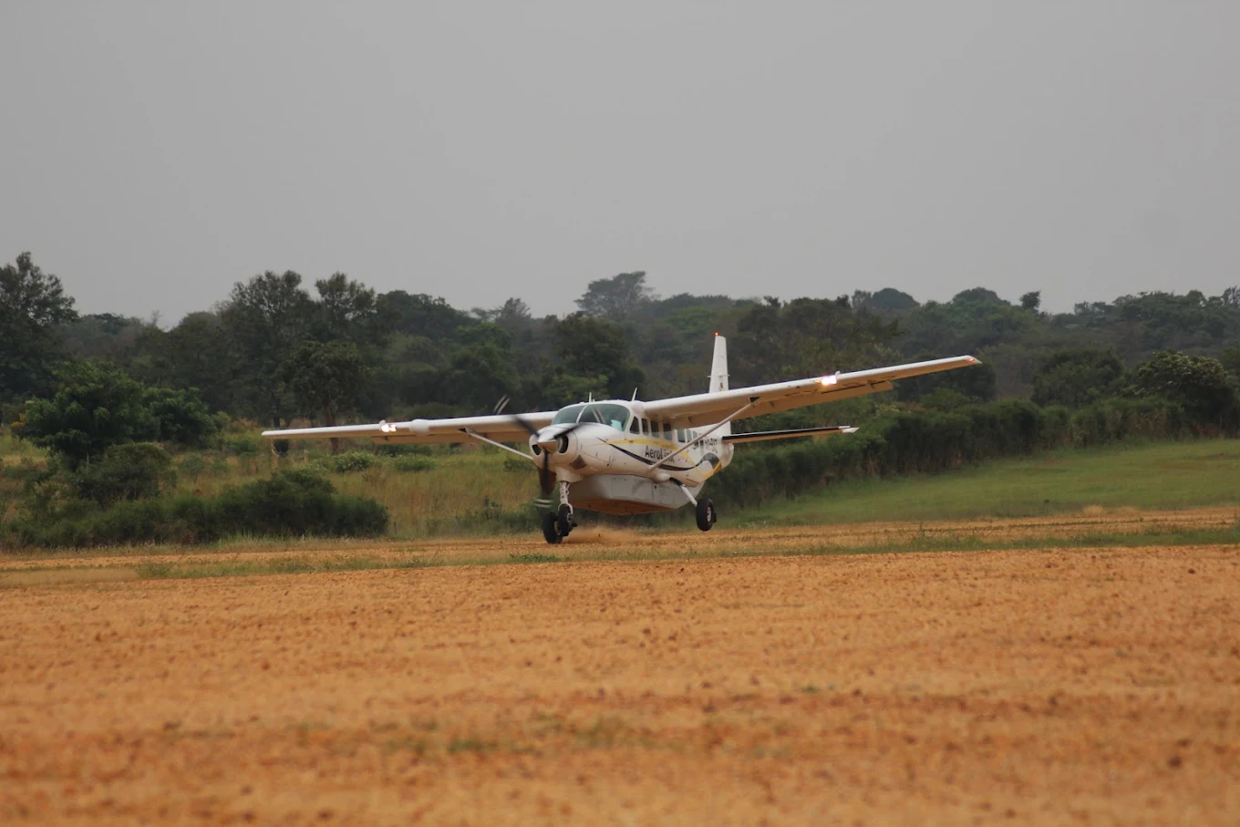 6 Days Uganda Gorilla & Wildlife Honeymoon Safari | Luxury Romantic Escape