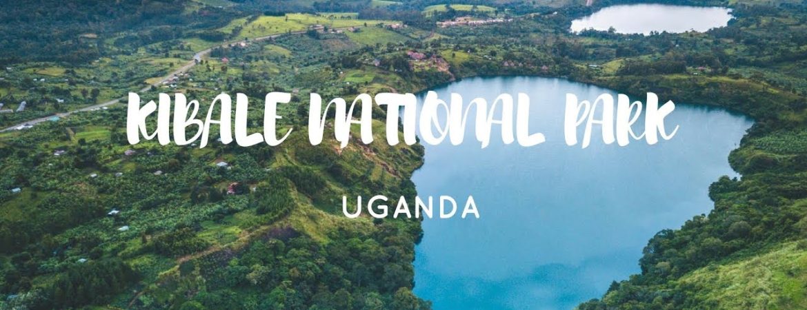 Kibale National Park