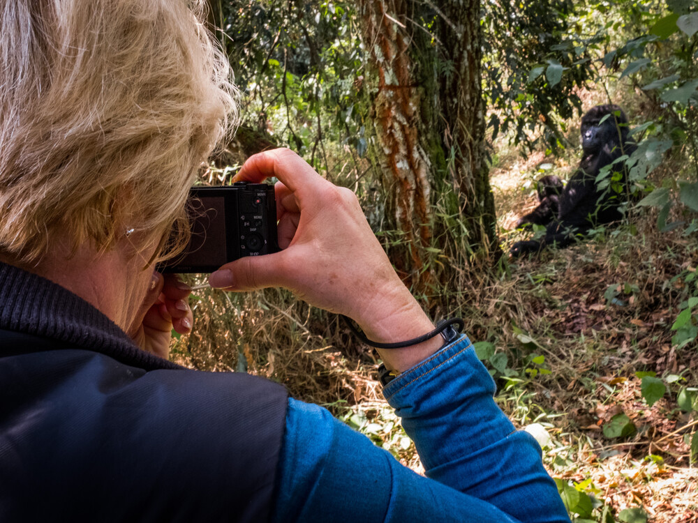 4 Days Gorilla Trekking and Queen Elizabeth Safari | Bwindi & Queen Elizabeth NP

From Kigali or Entebbe