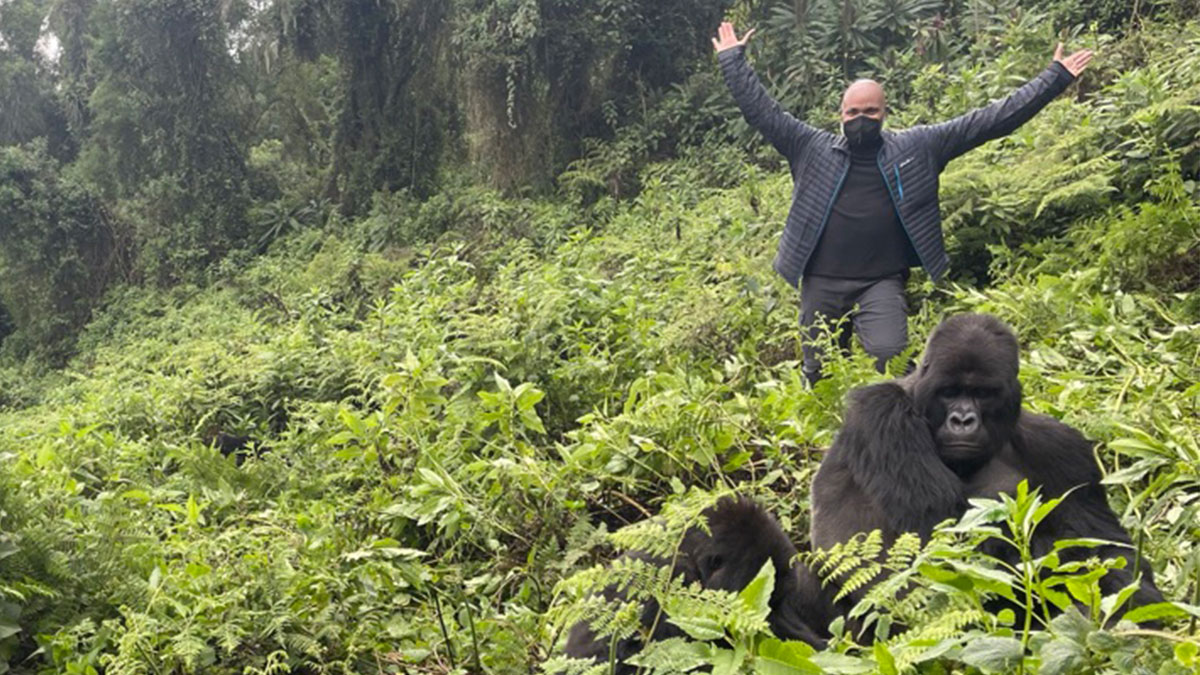 Detailed 1 Day Gorilla Trekking Uganda