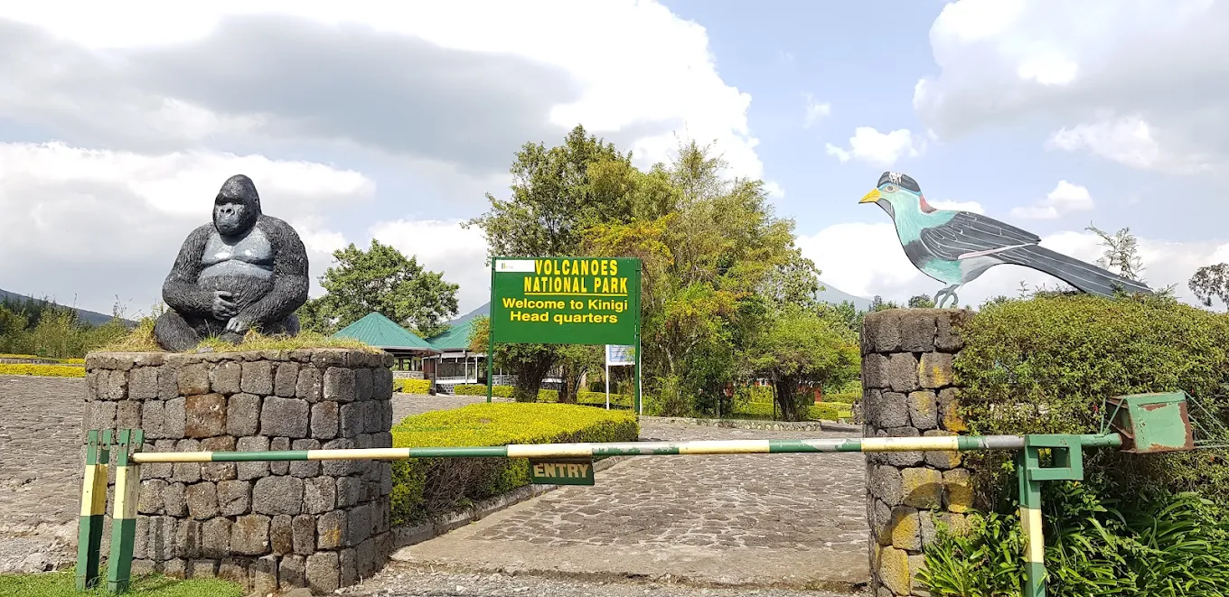 2 Days Gorilla Trekking in Volcanoes National Park Detailed Itinerary