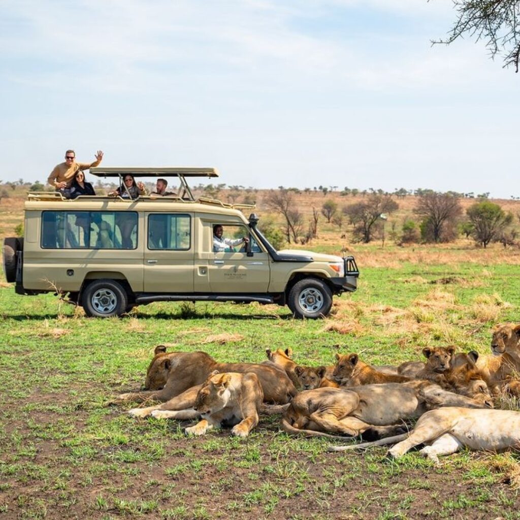 Bwindi – Transfer to Queen Elizabeth National Park 