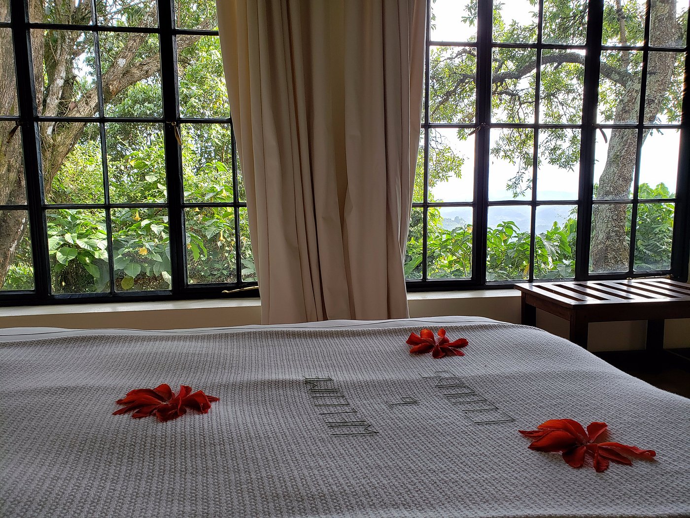 Luxury Honeymoon Lodges in Bwindi
