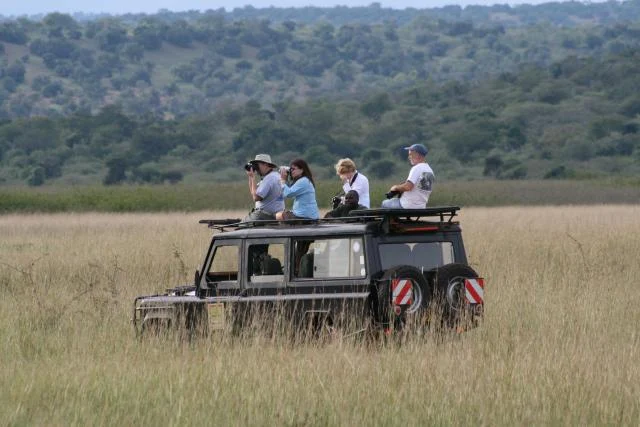 Advance planning is essential when you want to Plan a Safari on a Budget, as it gives you access to better pricing, more options, and greater flexibility.

