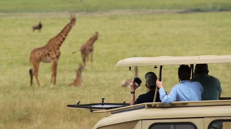 When planning What to Expect on Long Safari Drives, it’s important to understand that you are not limited to road travel—there are flexible alternatives that can significantly improve your overall experience. 