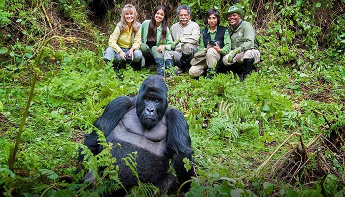 Gorilla trekking in Mgahinga National Park