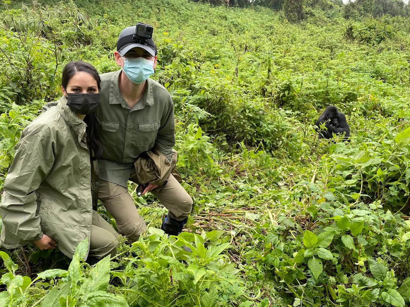 Gorilla Trekking Experience in Bwindi Forest 