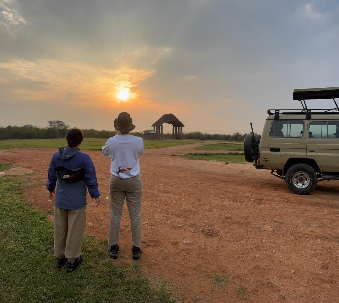 4 Days Luxury Gorilla Honeymoon in Uganda | Romantic Bwindi Safari