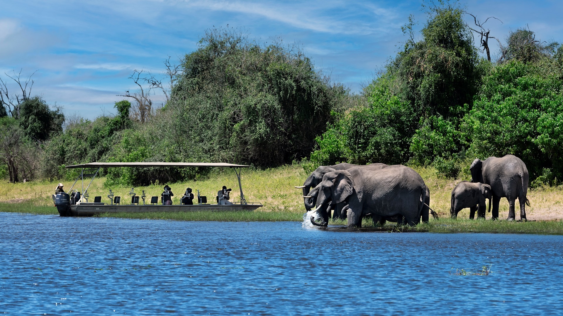 Chobe National Park: The Ultimate Safari Destination in Botswana 