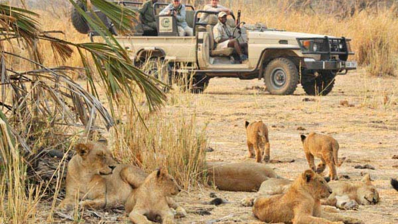 Lusaka National Park 