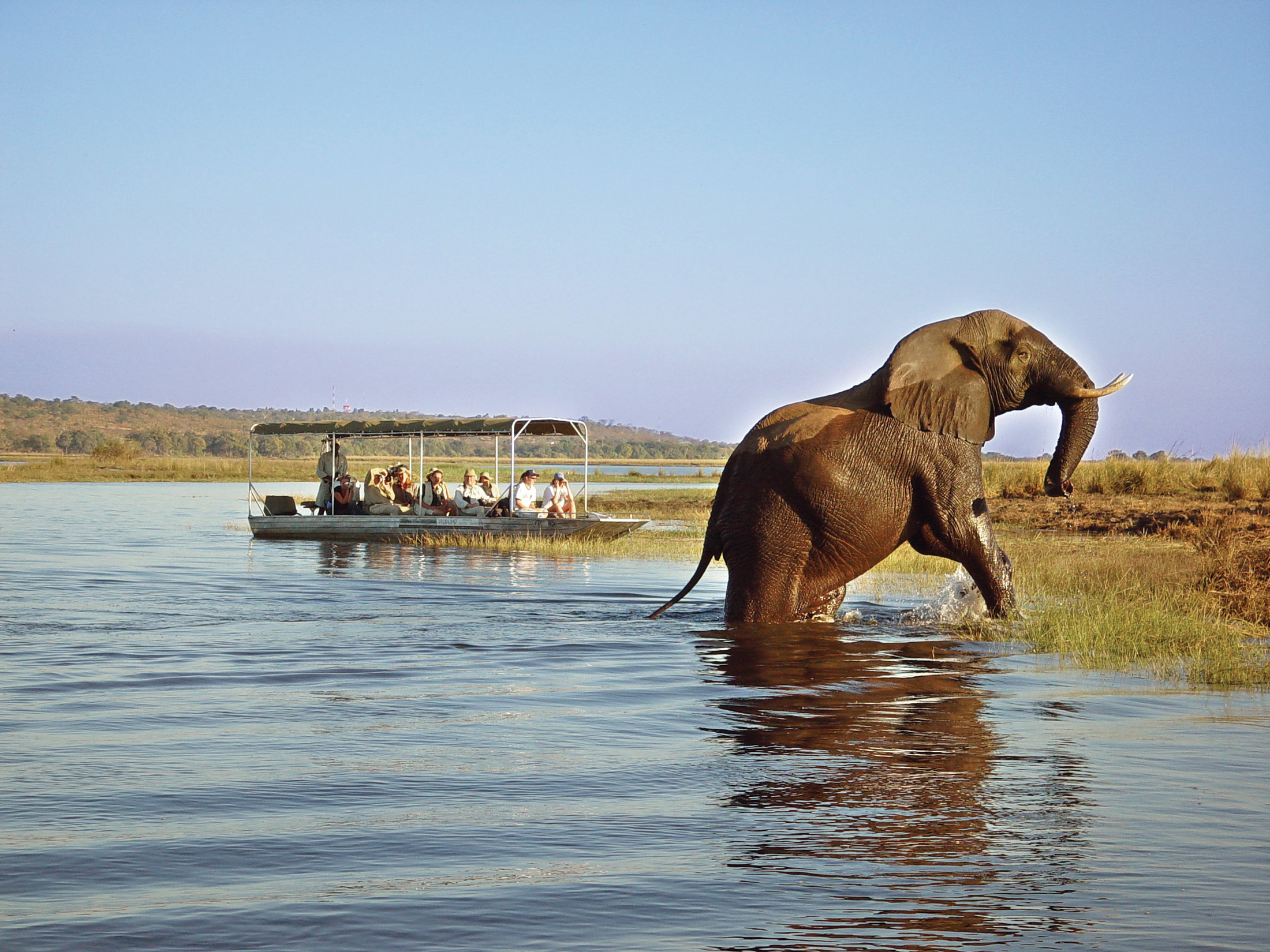 Mosi-oa-Tunya National Park: The Ultimate Safari Experience Near Victoria Falls 