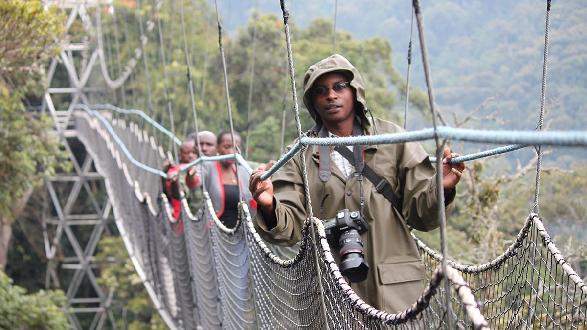 The Nyungwe Forest Canopy Walk is designed to be accessible to a wide range of travelers, making it one of the most inclusive adventure experiences in Rwanda.