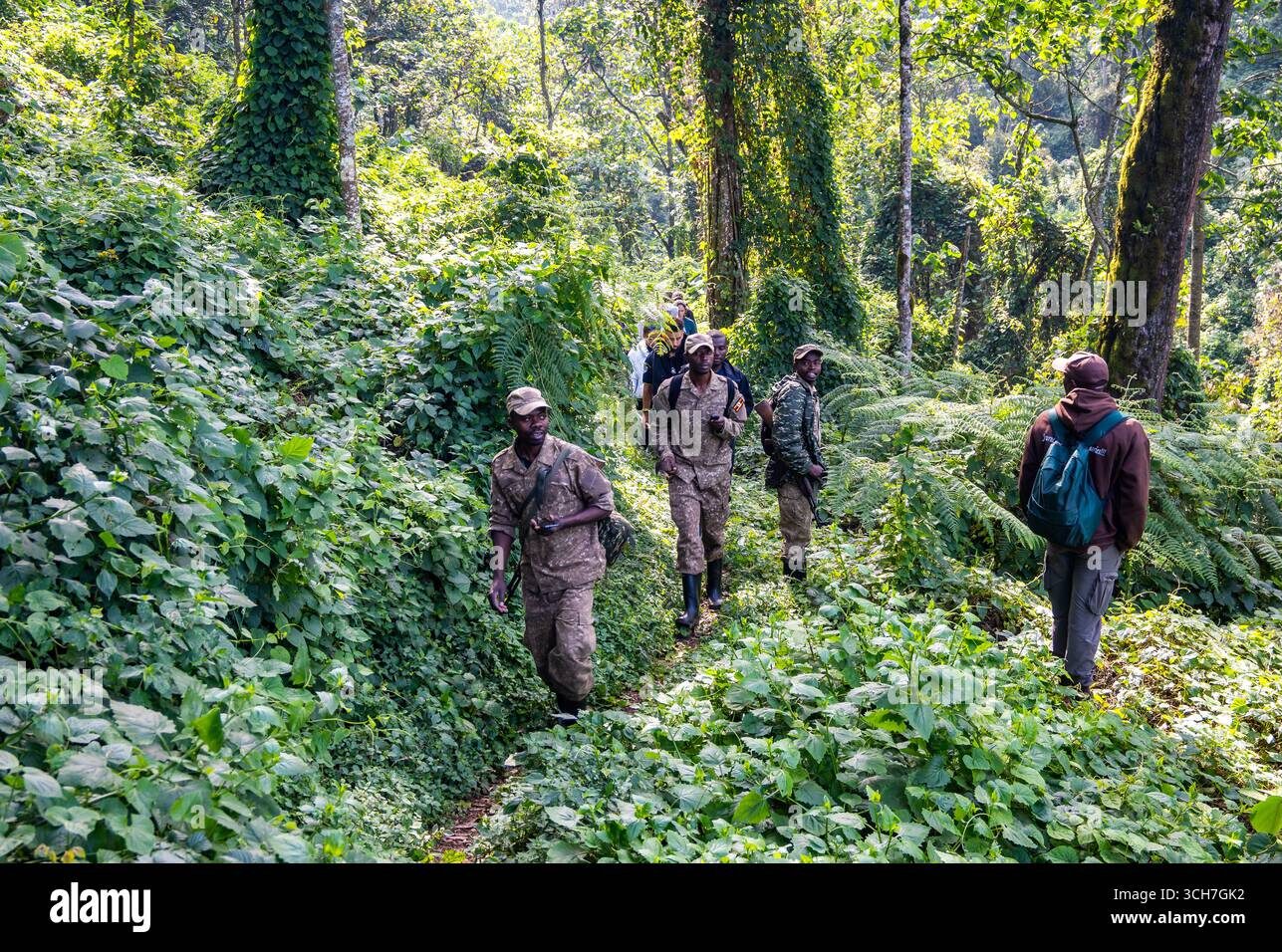 Bwindi Impenetrable National Par