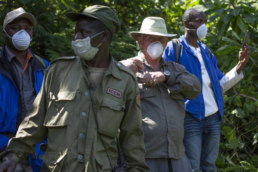Conservation efforts in Virunga National Park are vital in protecting the endangered species like Gorillas .