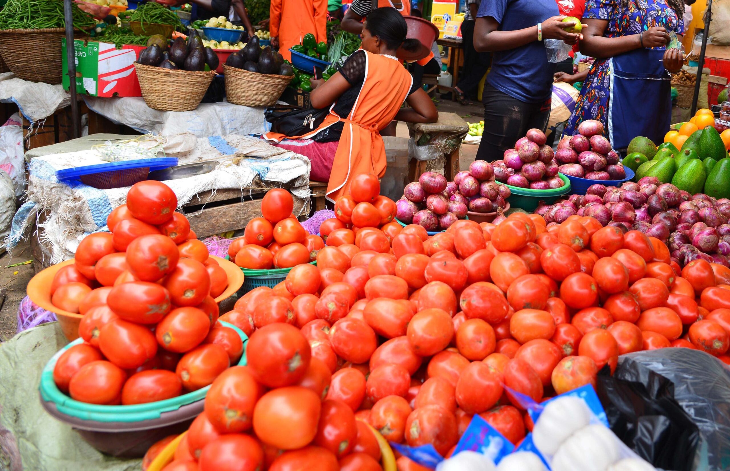 Street food offers another layer of authenticity. The famous “rolex,” a rolled chapati with eggs and vegetables, is a popular and affordable snack found in towns and cities. Sampling such foods gives you insight into everyday life and how locals eat on the go. These simple yet flavorful experiences are an essential part of Cultural Experiences in Uganda Safaris.
