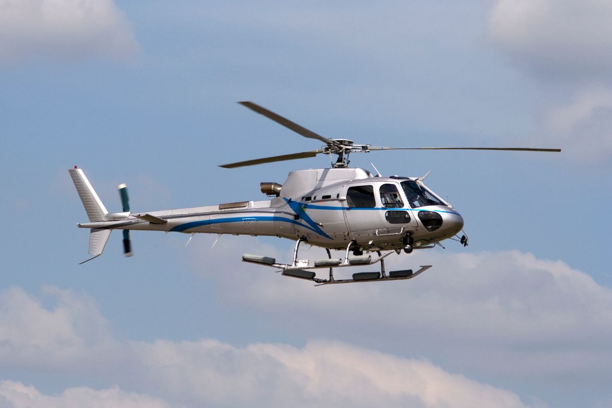 Flying offers a completely different perspective—one that prioritizes comfort, efficiency, and access to remote destinations. It transforms your safari into a seamless journey where time is maximized for experiences rather than travel.