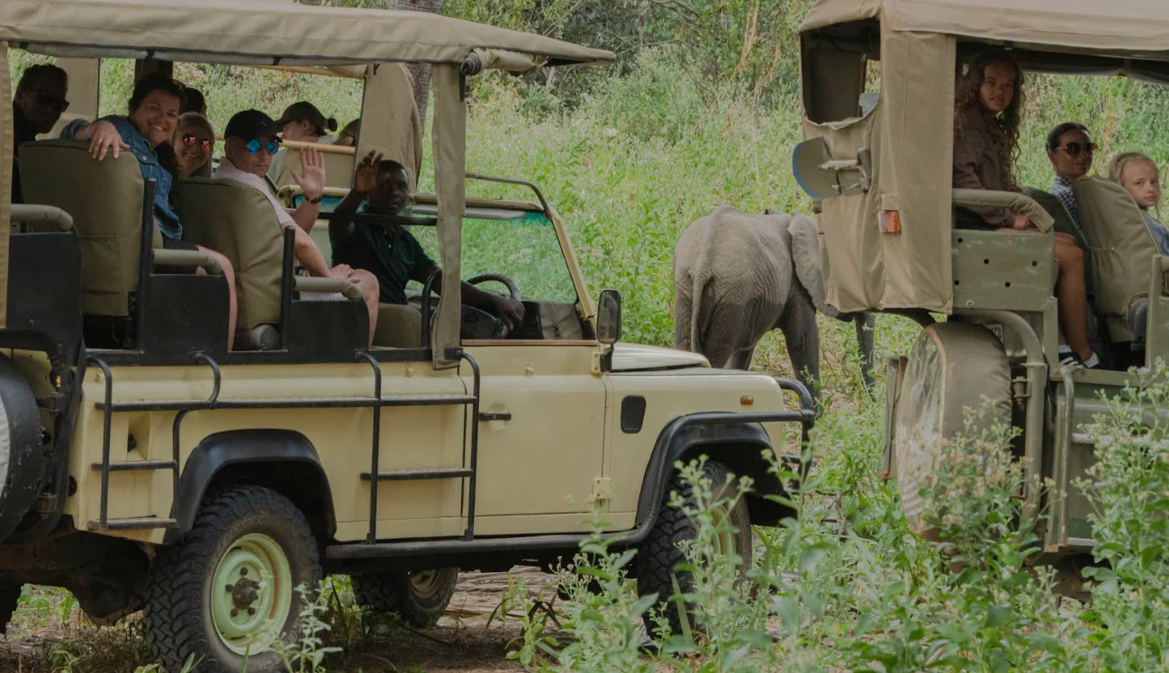 Driving remains the most classic and widely recognized way to explore Africa. For many travelers, it represents the true essence of safari—being on the ground, surrounded by landscapes, and fully immersed in the journey.