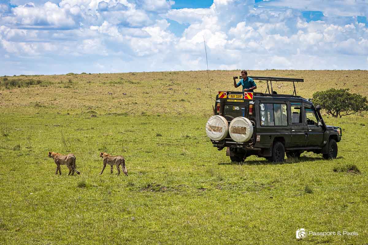 For many travelers, the smartest approach to Driving vs Flying on Safari is not choosing one over the other—but blending both into a single, well-designed itinerary. This hybrid strategy allows you to enjoy the strengths of each mode of travel while minimizing their limitations.