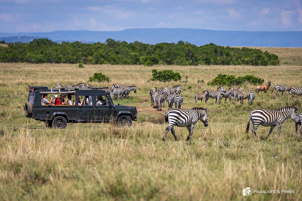 Cost plays a central role in deciding between Driving vs Flying on Safari, and understanding how each option impacts your budget helps you plan more effectively.