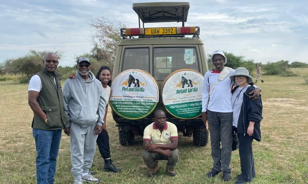 Booking your Congo safari with Pieland Gorilla Safaris ensures a seamless, safe, and unforgettable travel experience. We specialize in tailor-made Congo safari packages featuring mountain gorilla trekking, Eastern lowland gorilla trekking, chimpanzee tracking, Mount Nyiragongo hikes, birdwatching, and wildlife safaris in the Democratic Republic of the Congo. Our team arranges gorilla permits, quality accommodation, reliable transportation, domestic flights, and experienced professional guides for a hassle-free journey. With personalized service, competitive pricing, and extensive local knowledge, we create authentic adventures that match your interests and budget. Choose Pieland Gorilla Safaris for exceptional service, memorable wildlife encounters, and expertly planned Congo safari experiences.