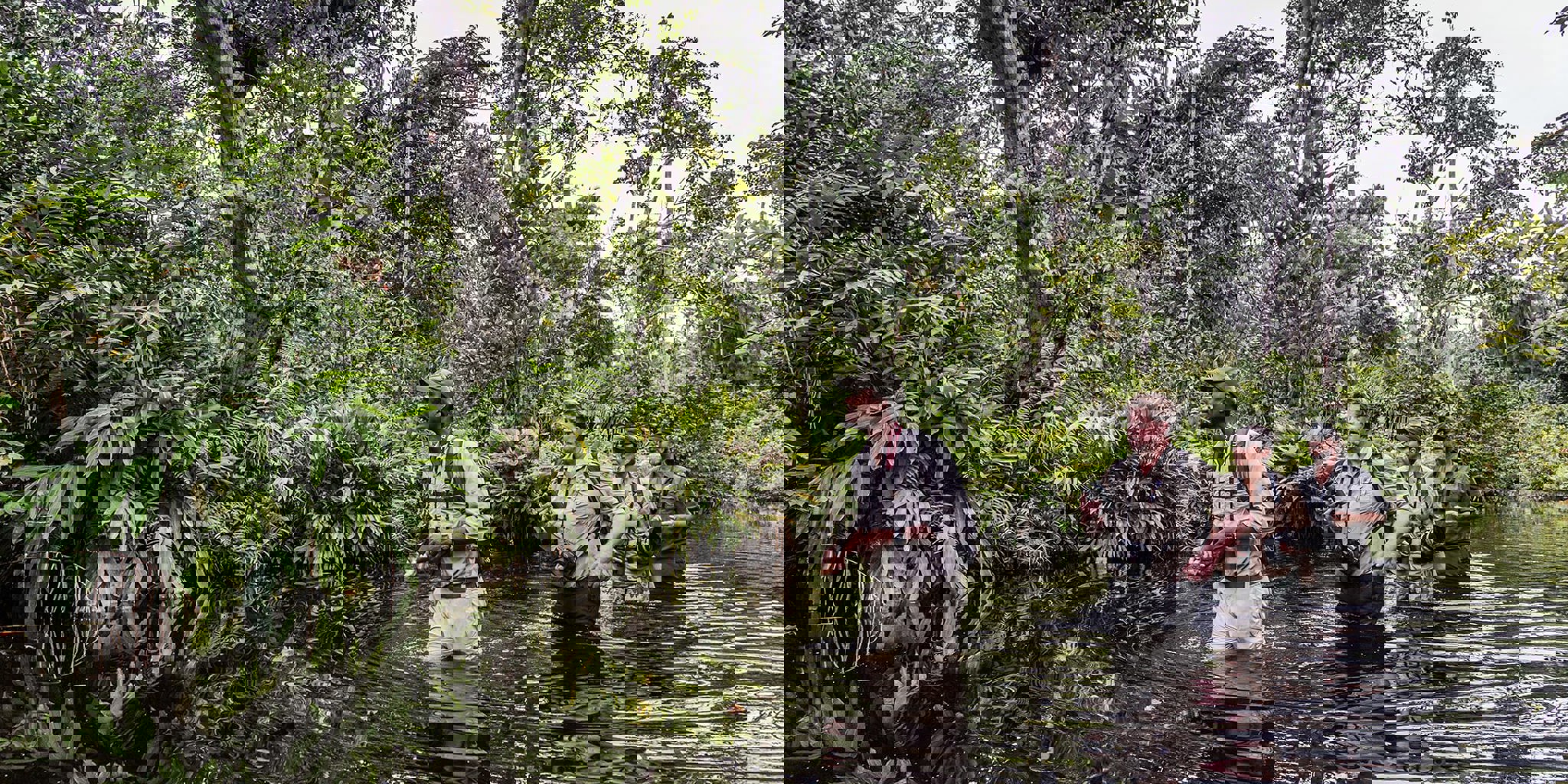 Gorilla Trekking in Odzala-Kokoua National Park