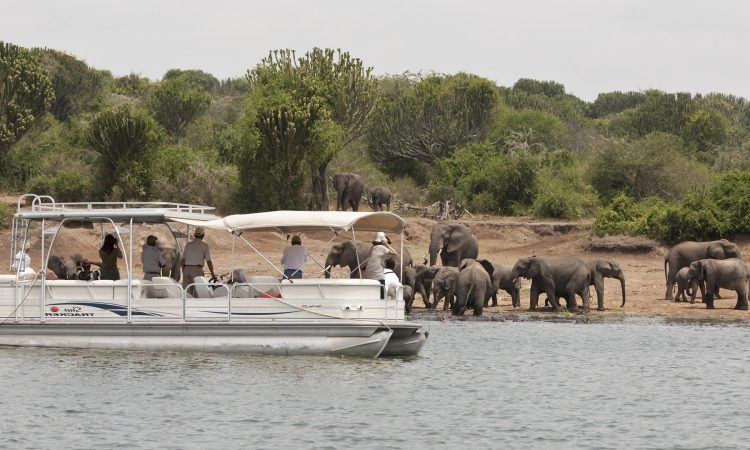 Kazinga Channel offers good fishing spot and wildlife viewing in Queen Elizabeth National Park