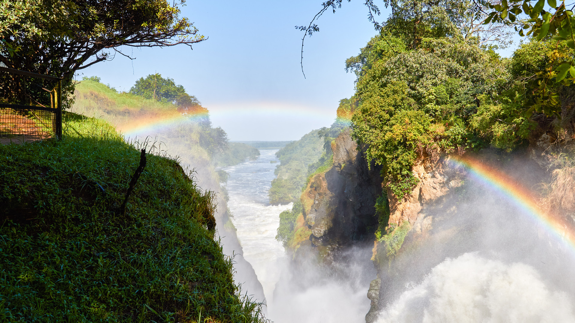 5 Days Midange safari for a Family in Murchison falls National Park-Hiking to the top fo the falls