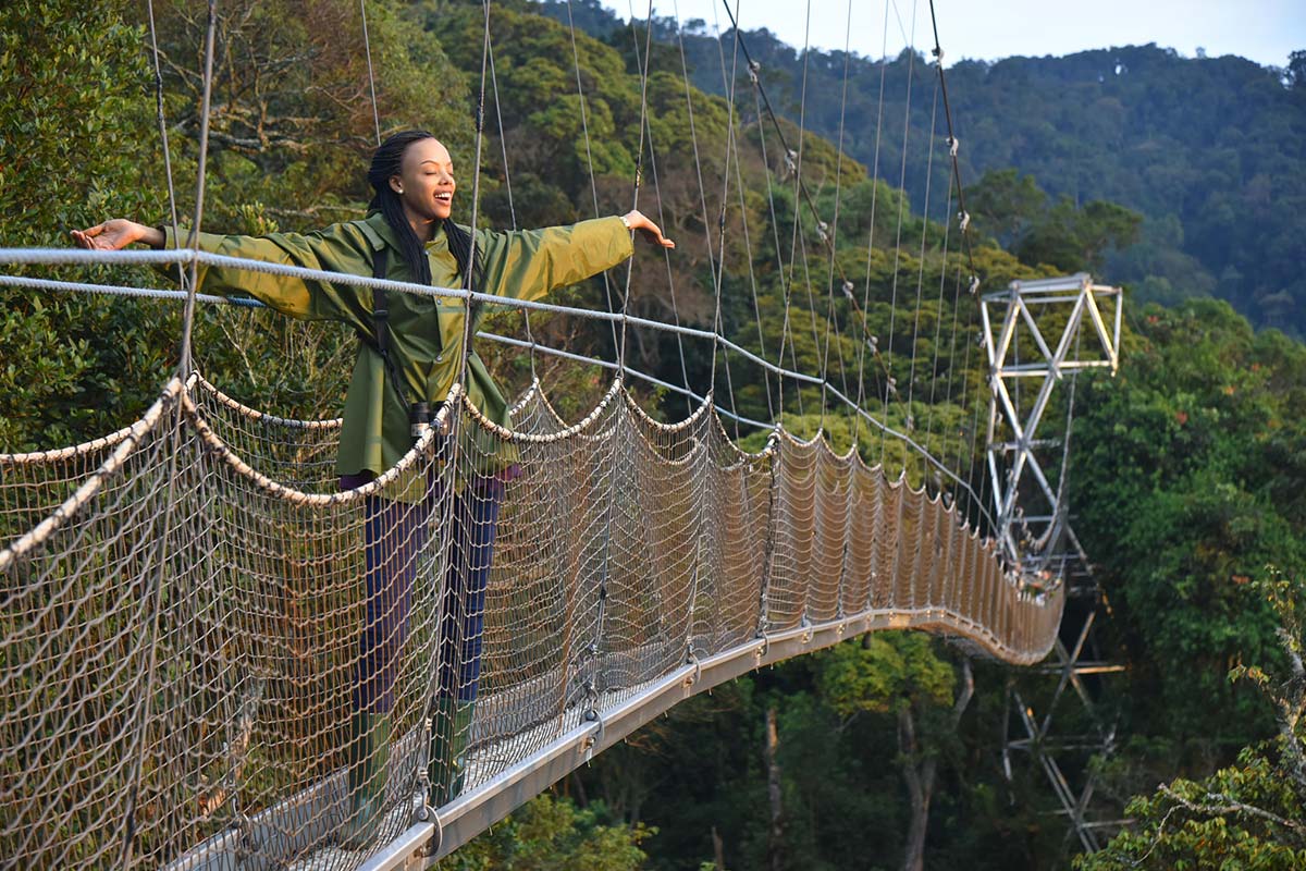 The Nyungwe Forest Canopy Walk stands out because it offers a perspective that is both rare and immersive—one that very few destinations in Africa can provide.