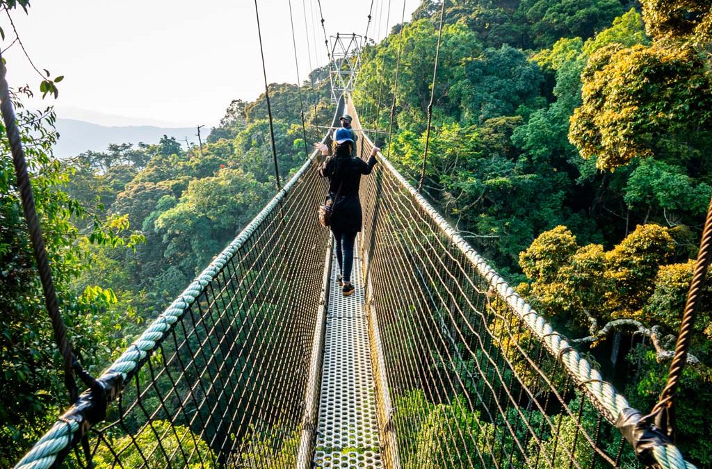 The Nyungwe Forest Canopy Walk can be enjoyed throughout the year, but timing your visit can influence visibility, comfort, and overall experience.