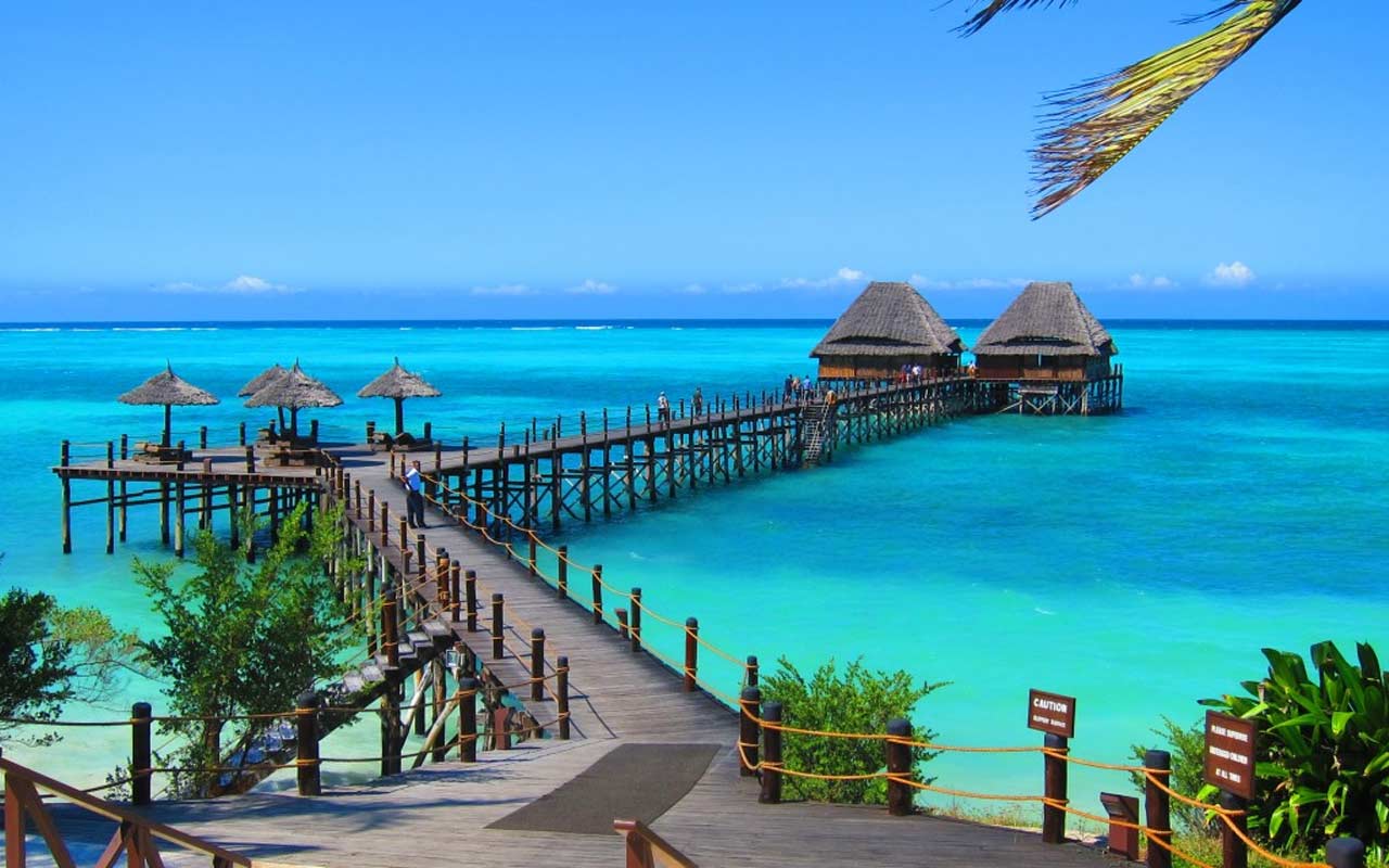 Planning How to Combine Safari and Beach in One Trip requires thoughtful coordination so that your journey flows smoothly from adventure to relaxation without unnecessary stress or fatigue.