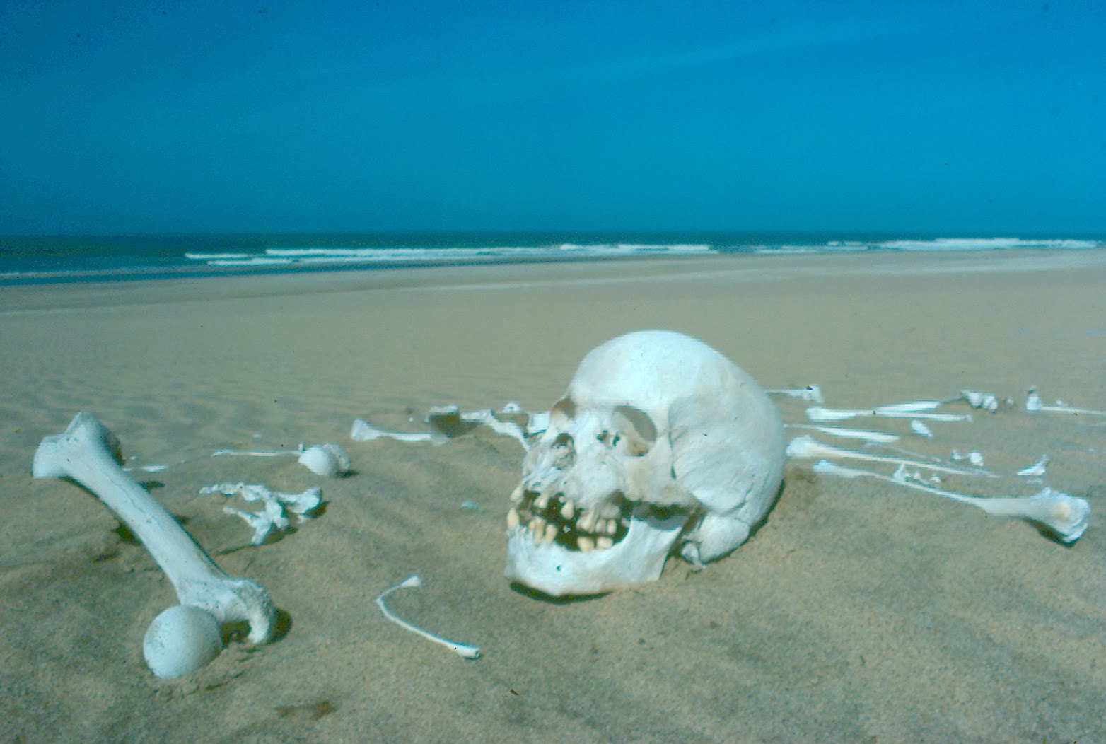 The name Skeleton Coast carries both historical and natural significance, reflecting the dramatic and often unforgiving nature of this region. 