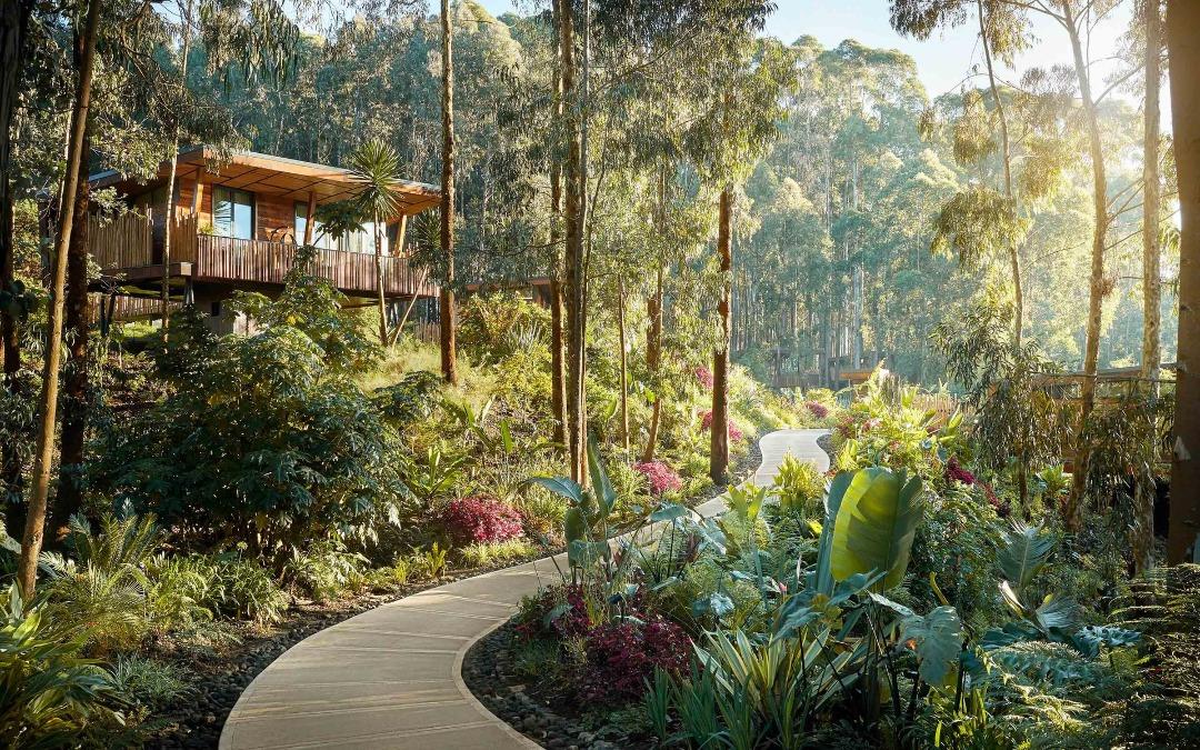 Hidden Luxury Lodges in Rwanda are particularly remarkable within the lush and biodiverse landscapes of Nyungwe Forest National Park.