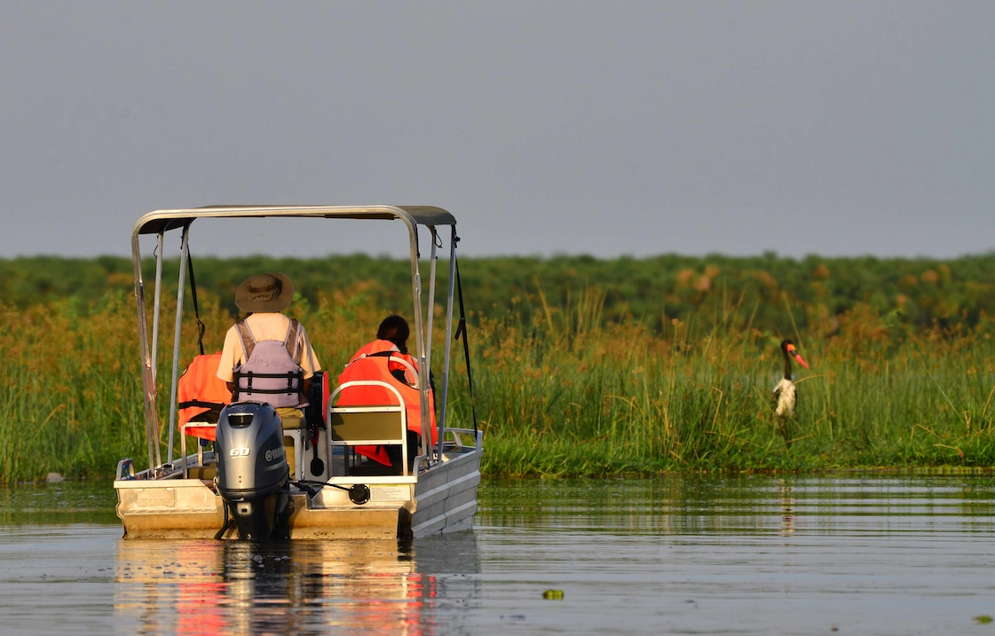 Wildlife viewing during Uganda fishing safari with Pieland Gorilla Safaris 