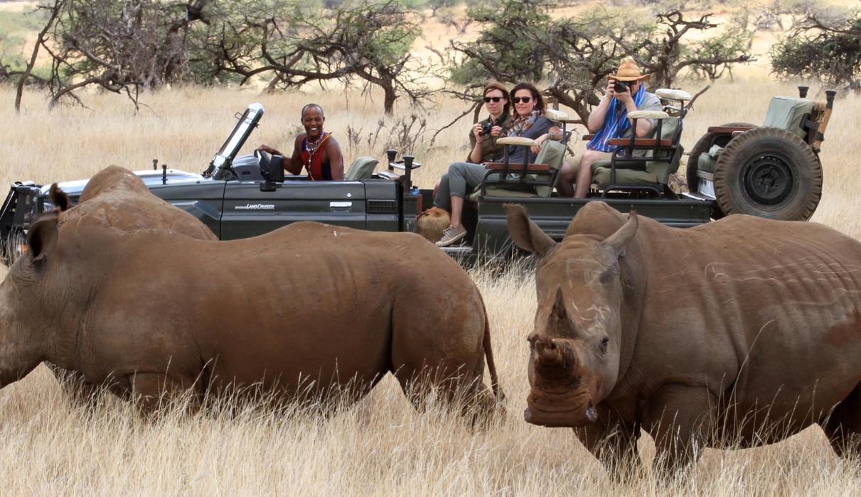 In summary, Why You Rarely See Rhinos is shaped by a combination of biological, environmental, and human factors that all work together to limit sightings in the wild. 