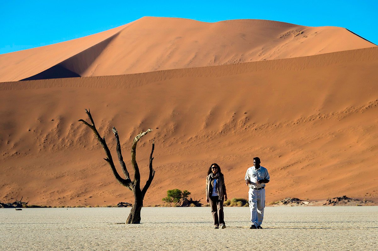 Choosing between Namibia vs Tanzania for your safari can feel overwhelming because both destinations deliver world-class experiences—but in very different ways. Each country offers its own rhythm, landscapes, and style of exploration, meaning your decision should be guided by the kind of journey you want to have.