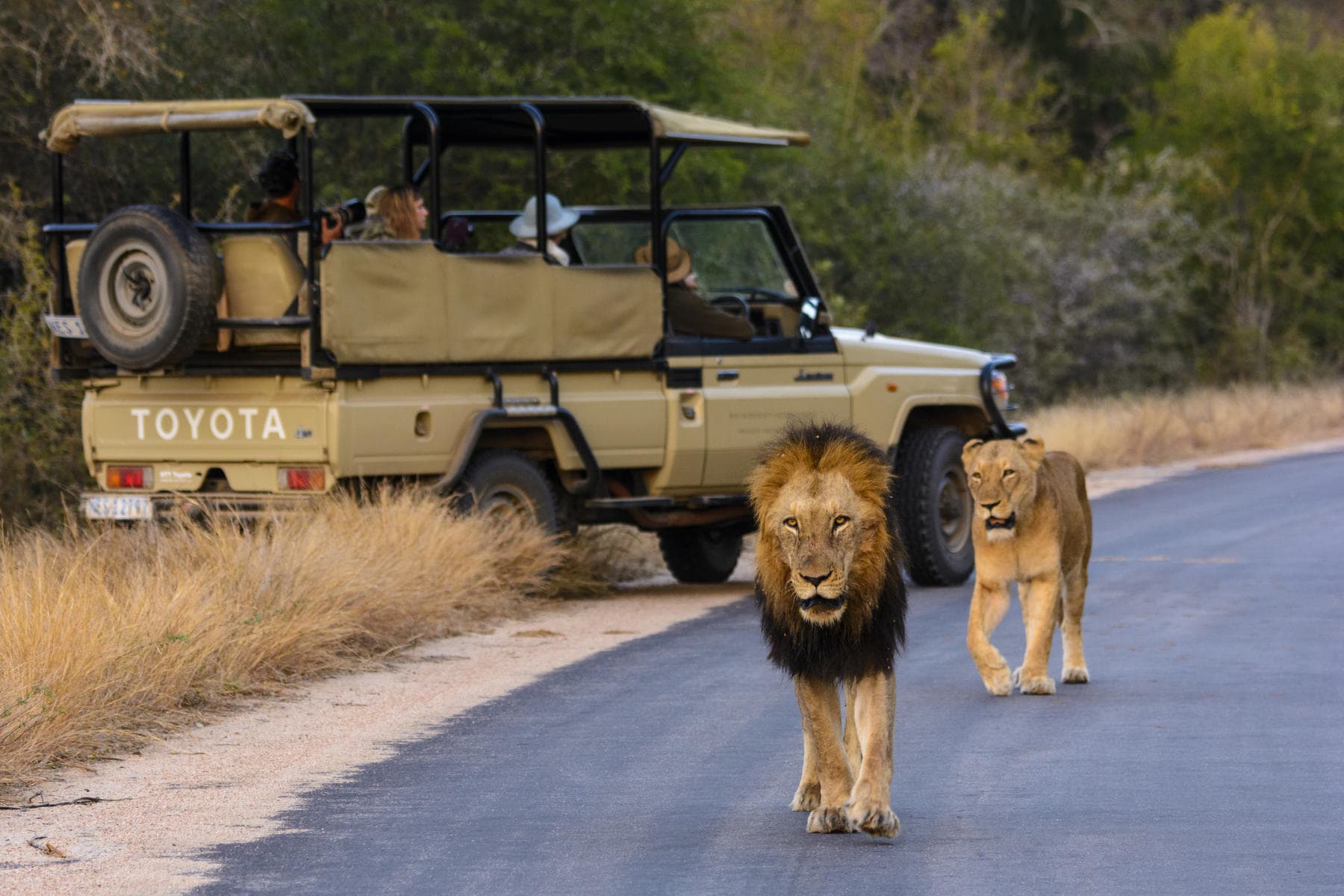 There is no single right answer to Driving vs Flying on Safari because every traveler’s needs and preferences are different. The decision ultimately comes down to what you value most in your safari experience.