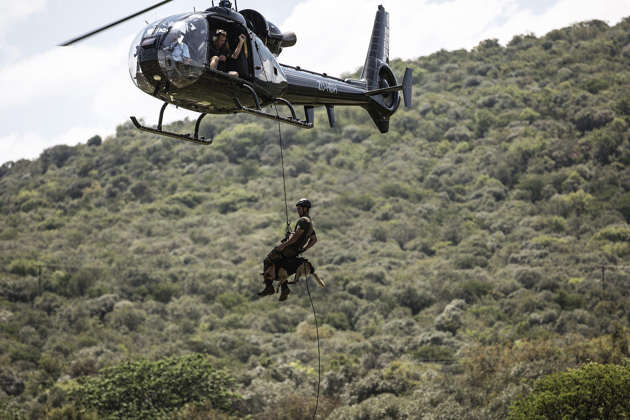 At Pieland Gorilla Safaris, we specialize in creating tailored safari experiences that bring you closer to Africa’s most extraordinary wildlife, including its rarest and most protected species. 