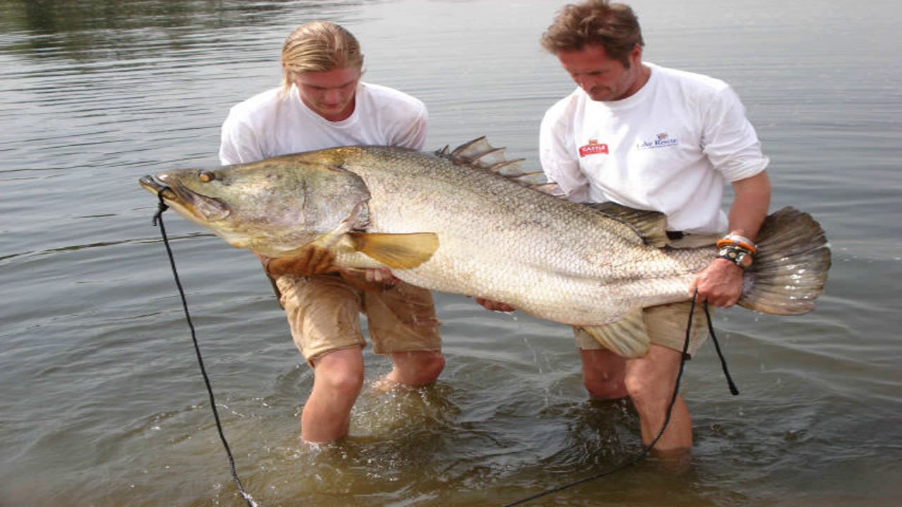 Uganda fishing safari on Lake victoria-Pieland Gorilla Safaris 