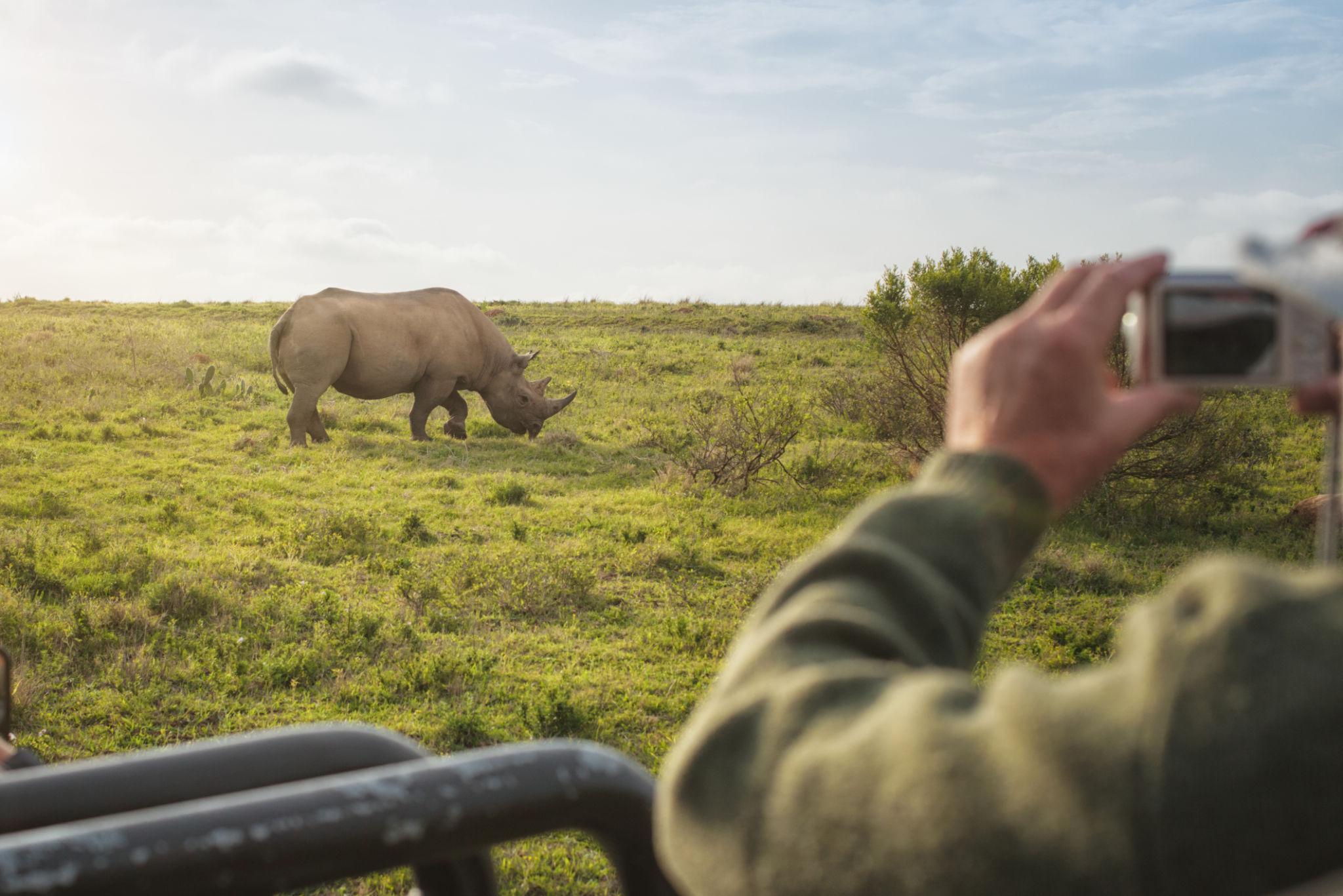 Understanding How Guides Track Animals Without GPS reveals one of the most impressive and underrated skills on an African safari. While modern technology exists, expert safari guides rely on deep knowledge of the wild, sharp observation, and years of experience to locate animals.
