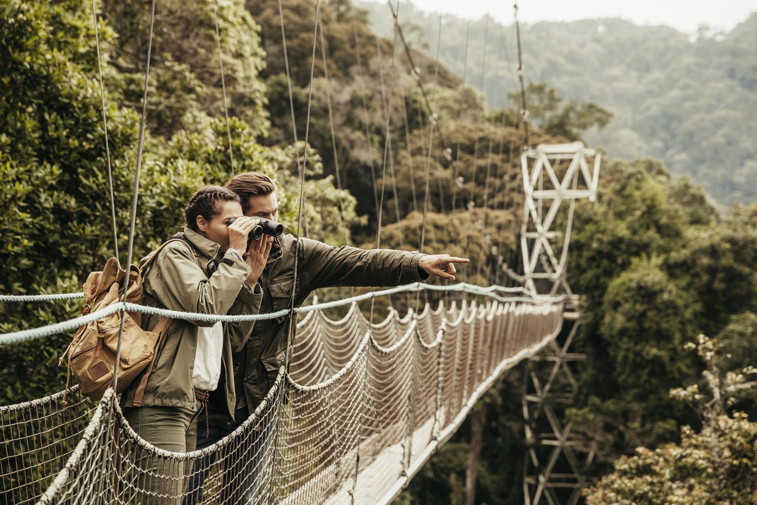 What makes the Nyungwe Forest Canopy Walk particularly remarkable is its position within the forest ecosystem. Rather than observing nature from the ground, visitors are elevated into the canopy layer—the uppermost level of the forest where much of the ecological activity takes place. This is where sunlight reaches the leaves, birds nest, and many species of primates move between branches.